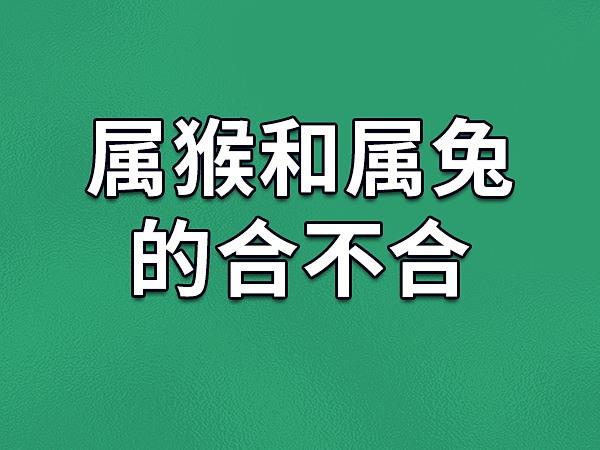 属兔配生肖猴合不合，属兔和属猴的相配吗属兔和属猴的合不合