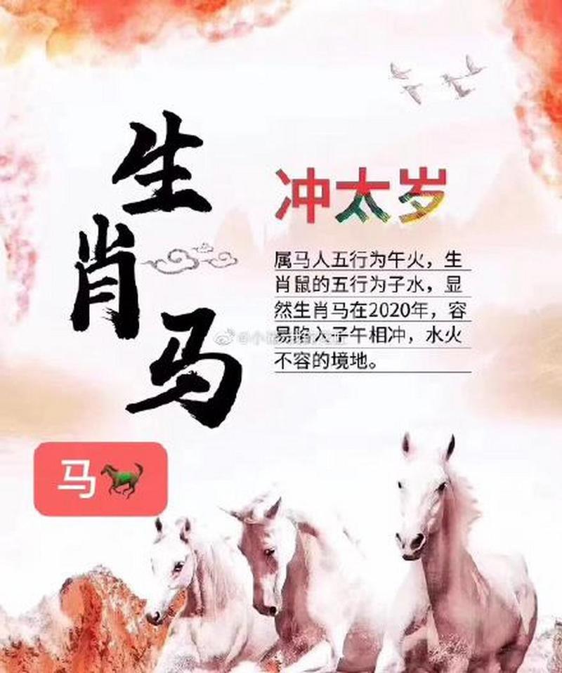 马年冲大岁配什么生肖