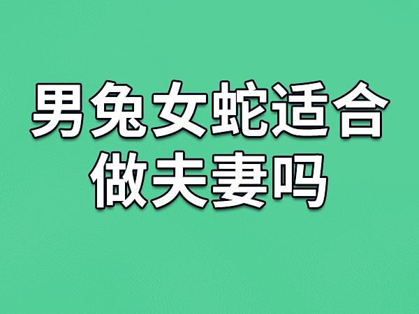 生肖男兔配女蛇婚姻（属兔男和属蛇女相配吗婚姻）