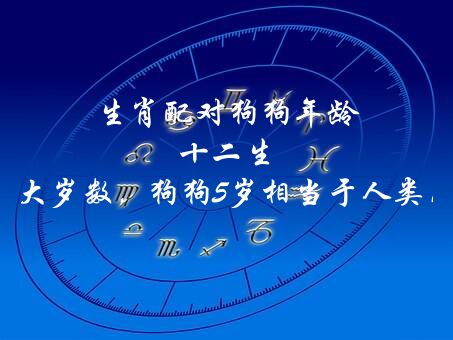 生肖配对狗狗年龄 十二生肖狗多大岁数，狗狗5岁相当于人类几岁？