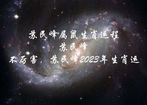 苏民峰属鼠生肖运程 苏民峰在运势厉不厉害，苏民峰2020年生肖运程？