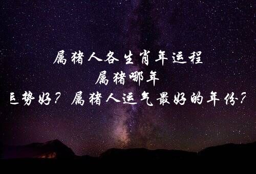 属猪人各生肖年运程 属猪哪年运势好？属猪人运气最好的年份？