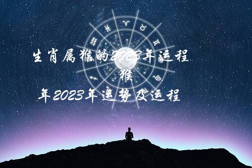 生肖属猴的2023年运程（猴年2023年运势及运程）