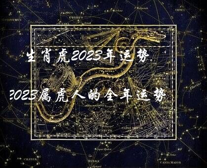 生肖虎2023年运势（2023属虎人的全年运势）