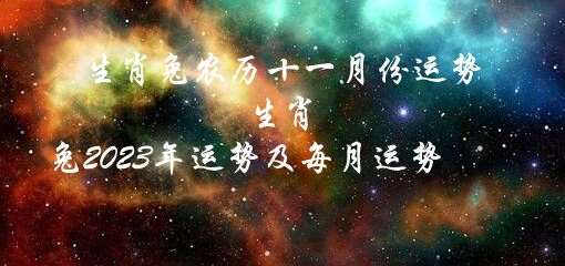 生肖兔农历十一月份运势（生肖兔2023年运势及每月运势）