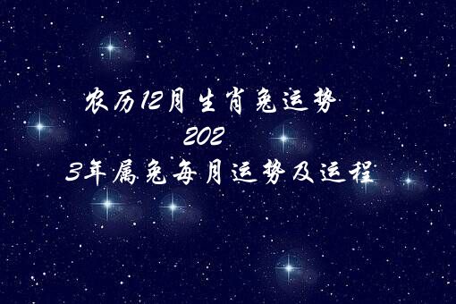 农历12月生肖兔运势（2020年属兔每月运势及运程）