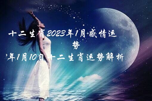 十二生肖2023年1月感情运势（2023年1月10日十二生肖运势解析）