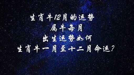 生肖牛12月的运势 属牛每月出生运势如何,生肖牛一月至十二月命运？