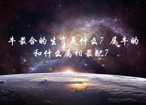 牛最合的生肖是什么？属牛的和什么属相最配？