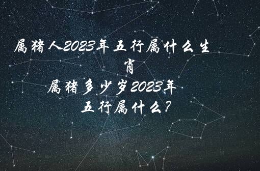 属猪人2023年五行属什么生肖 属猪多少岁2023年 五行属什么？