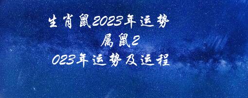 生肖鼠2023年运势（属鼠2023年运势及运程）