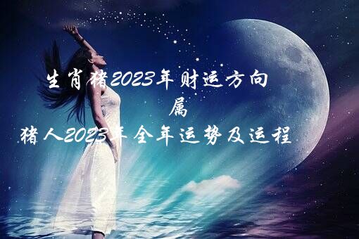 生肖猪2023年财运方向（属猪人2023年全年运势及运程）