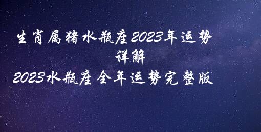 生肖属猪水瓶座2023年运势详解（2023水瓶座全年运势完整版）