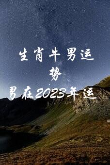 生肖牛男运势（1973年属牛男在2023年运势）