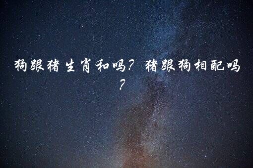 狗跟猪生肖和吗？猪跟狗相配吗？