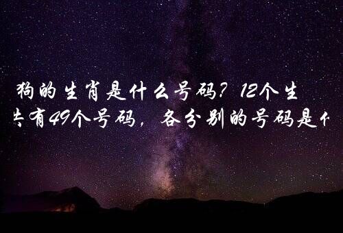 狗的生肖是什么号码？12个生肖中共有49个号码，各分别的号码是什么