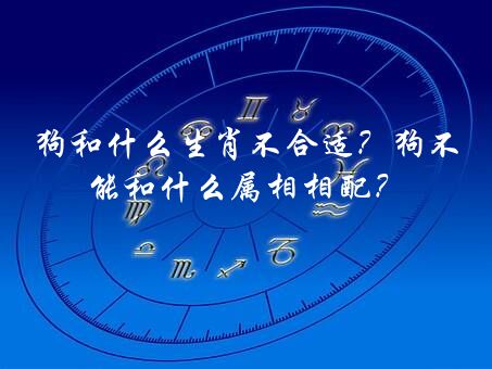 狗和什么生肖不合适？狗不能和什么属相相配？