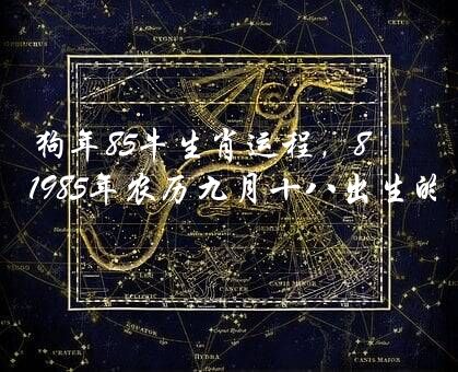 狗年85牛生肖运程，85属牛人2022年运势，1985年农历九月十八出生的整年运程