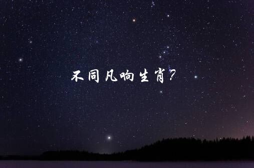 不同凡响生肖？