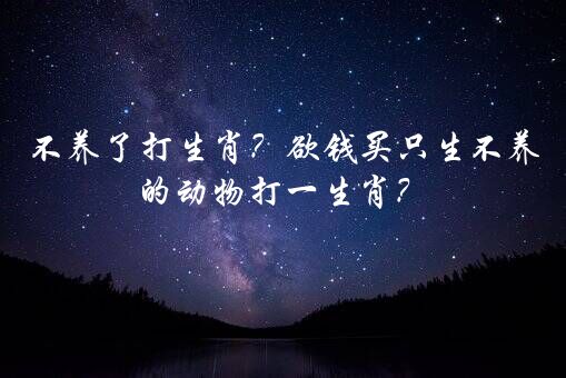 不养了打生肖？欲钱买只生不养的动物打一生肖？