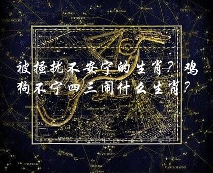 被搔扰不安宁的生肖？鸡狗不宁四三闹什么生肖？