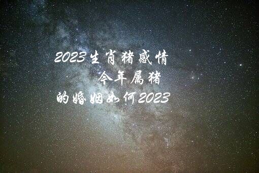 2023生肖猪感情（今年属猪的婚姻如何2023）