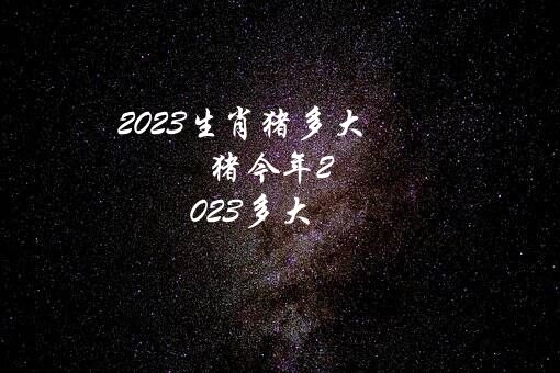 2023生肖猪多大（猪今年2023多大）