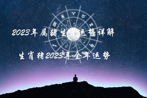 2023年属猪生肖运势详解（生肖猪2023年全年运势）