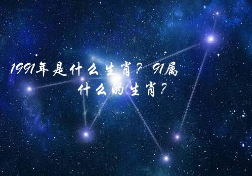 1991年是什么生肖？91属什么的生肖？