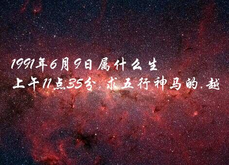 1991年6月9日属什么生肖？属羊，阳历1991年6月9号上午11点35分.求五行神马的.越详细越好.