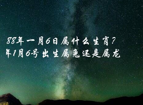 88年一月6日属什么生肖？1988年1月6号出生属兔还是属龙