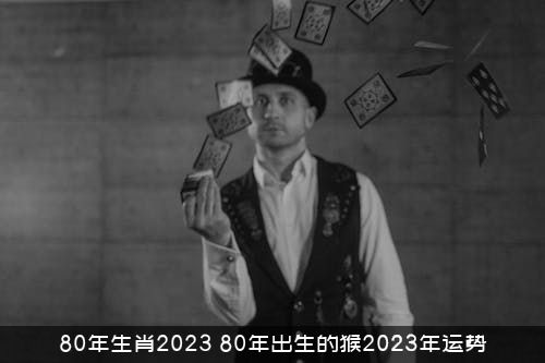 80年生肖2023（80年出生的猴2023年运势）