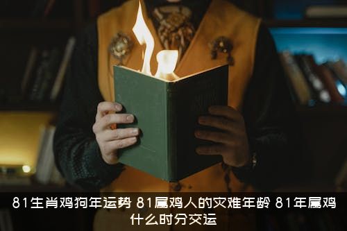 81生肖鸡狗年运势，81属鸡人的灾难年龄，81年属鸡什么时分交运？