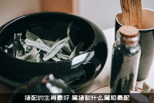 猪配的生肖最好（属猪和什么属相最配）