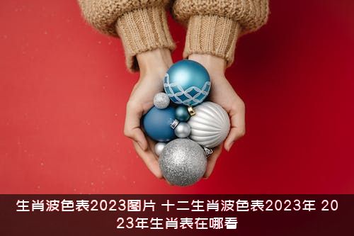 生肖波色表2023图片（十二生肖波色表2021年，2021年生肖表在哪看）