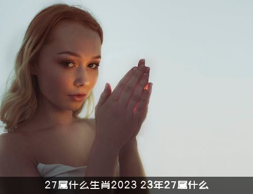 27属什么生肖2023？23年27属什么？