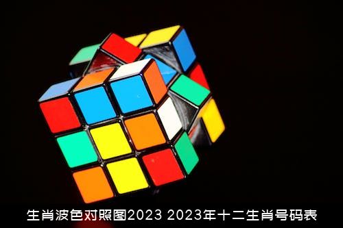 生肖波色对照图2023（2023年十二生肖号码表）