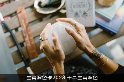 生肖波色卡2023（十二生肖波色）