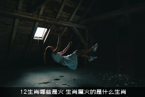 12生肖哪些是火？生肖属火的是什么生肖？