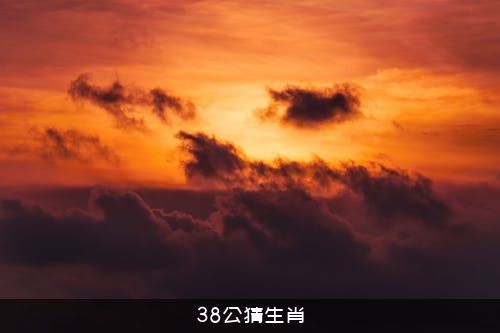 38公猜生肖