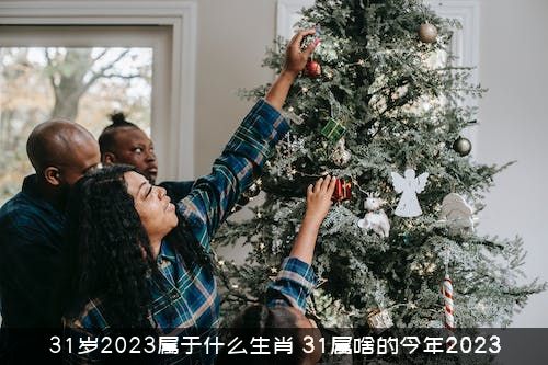 31岁2023属于什么生肖？31属啥的今年2023