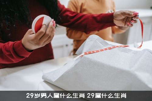 29岁男人属什么生肖？29属什么生肖？