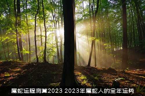 属蛇运程测算2023（2023年属蛇人的全年运势）