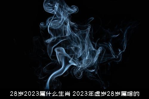 28岁2023属什么生肖？2023年虚岁28岁属啥的