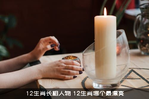 12生肖长相人物（12生肖哪个最漂亮）