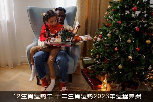 12生肖运势牛（十二生肖运势2023年运程免费）