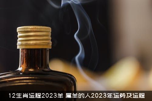 12生肖运程2023羊（属羊的人2023年运势及运程）