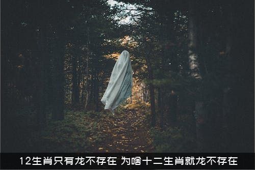 12生肖只有龙不存在（为啥十二生肖就龙不存在）