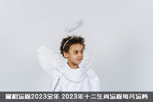 属相运程2023全年（2023年十二生肖运程每月运势）