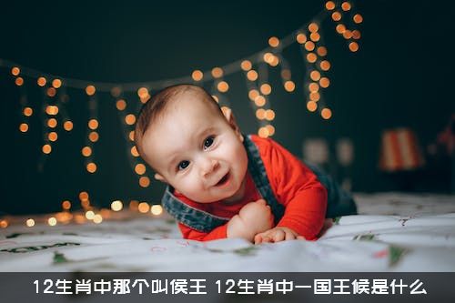 12生肖中那个叫侯王？12生肖中一国王候是什么？